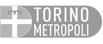 MapsGroup-clienti-Città_metropolitana_di_Torino_grey