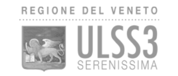 mapsgroup_ULSS3_serenissima_grey